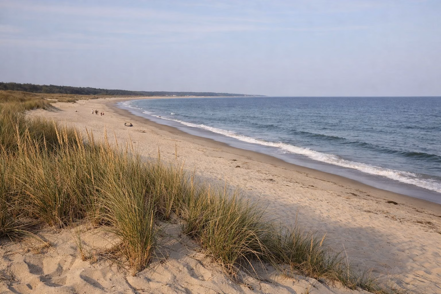 A wide sandy Atlantic beach seen from low dunes with beach grass and a long curving shoreline