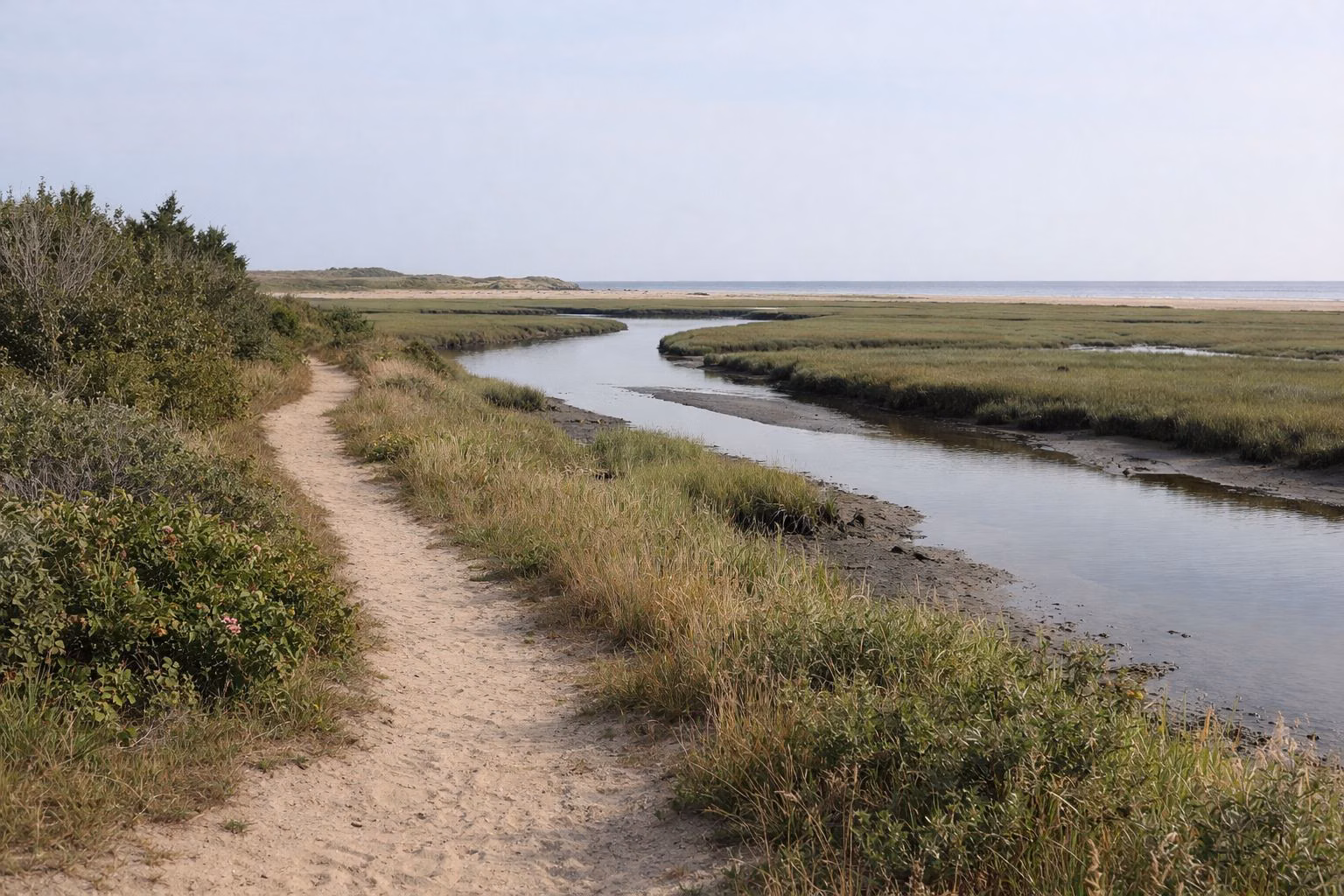 A narrow sandy footpath beside a winding tidal creek and green salt marsh, coastal shrubs on the left