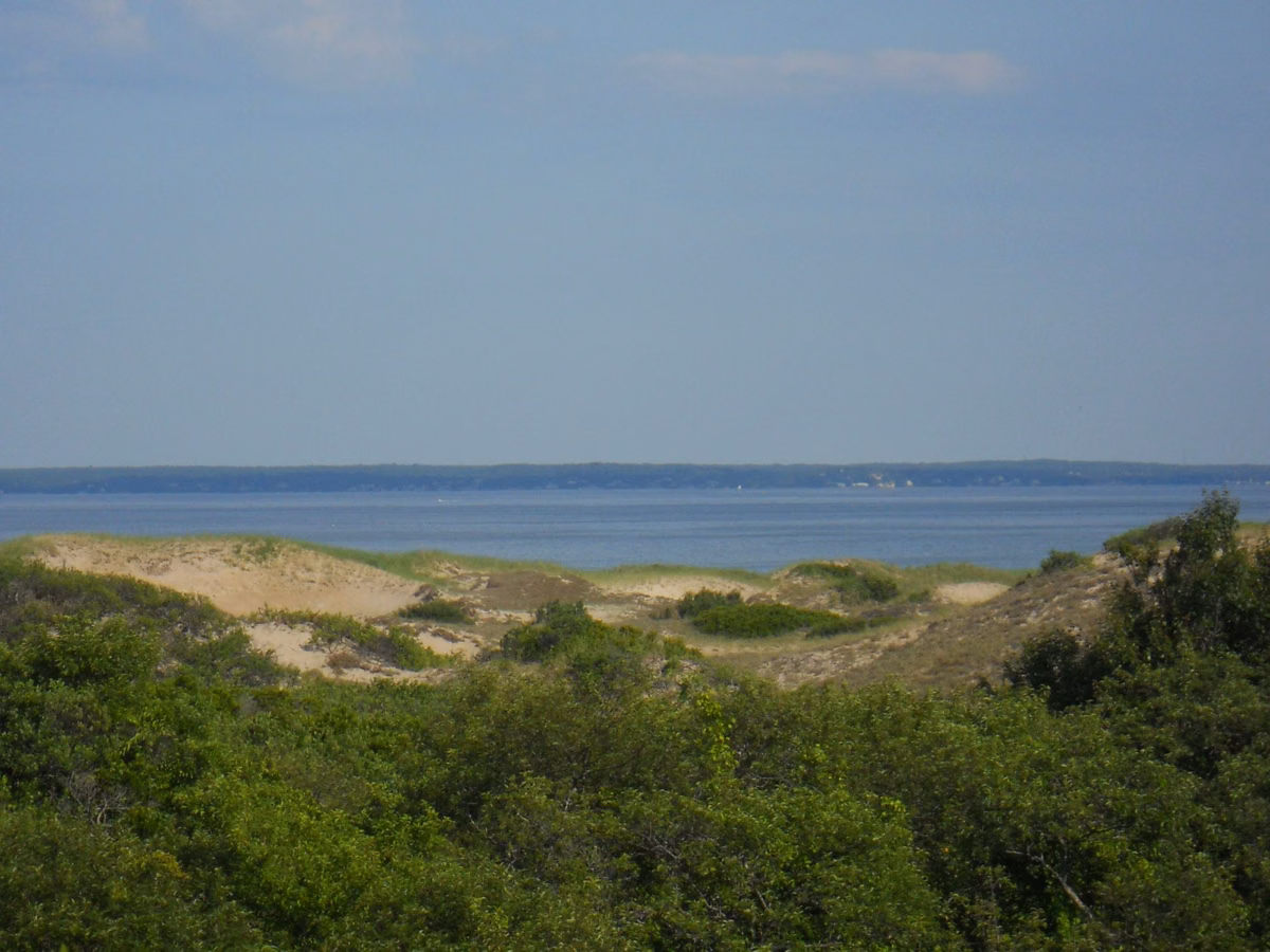 View over shrubby dunes and Plum Island Sound from the Hellcat dunes overlook at Parker River refuge