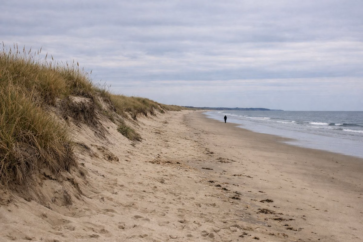 A nearly empty barrier beach below grassy dunes, with a single walker at the water's edge