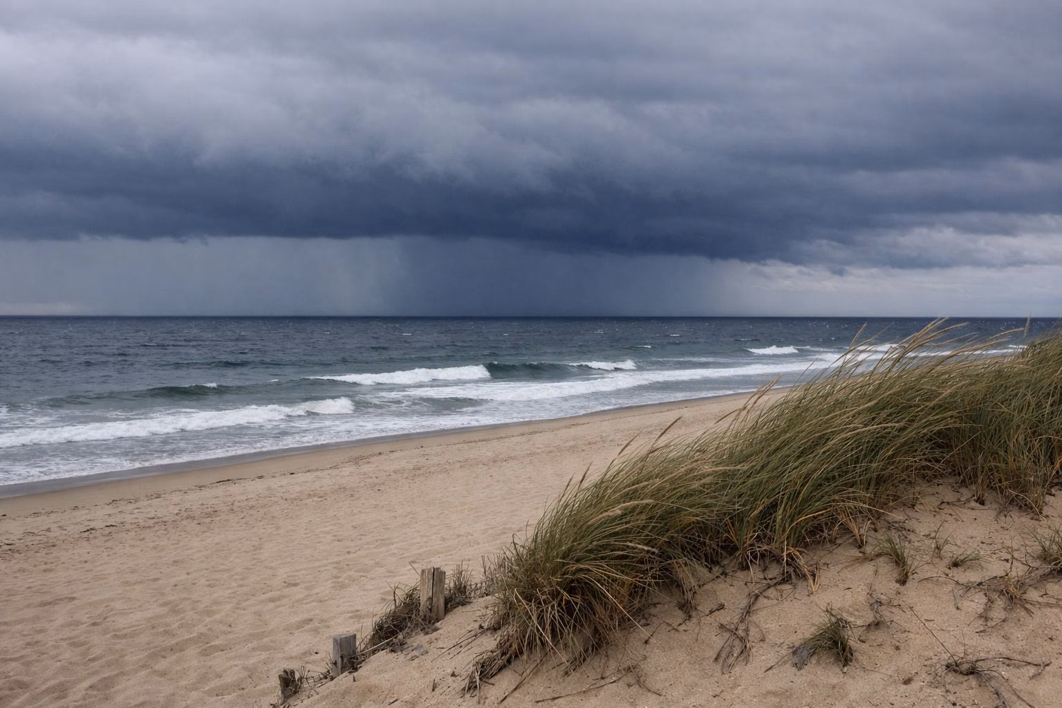 Dark storm clouds and rain over the ocean beyond a sandy beach, with wind-blown beach grass on the dune